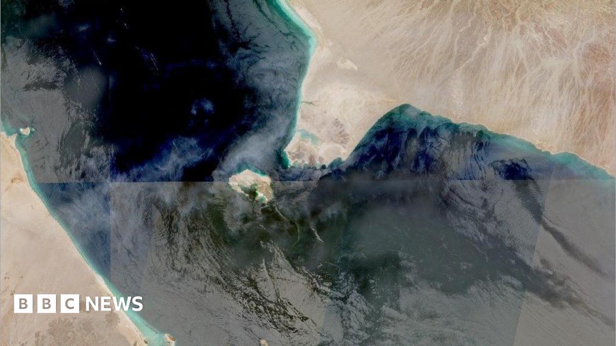 The Bab al-Mandab Strait in an aerial image.