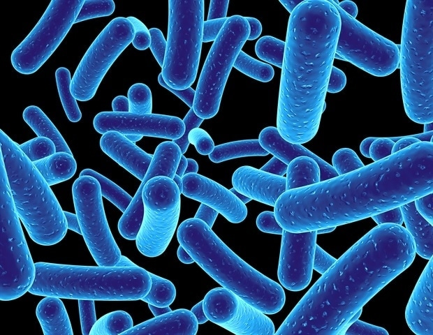 Scientists show how sweeteners slow the growth of certain gut bacteria