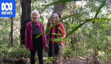 Neighbours create 40-hectare wildlife corridor amid Sydney's expanding urban fringe
