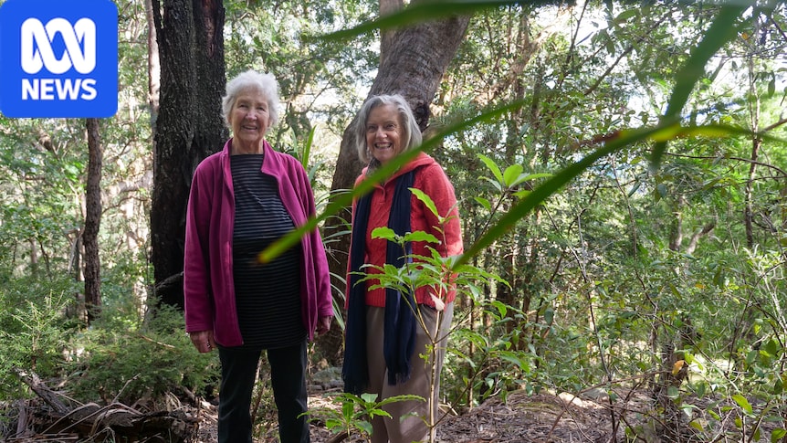 Neighbours create 40-hectare wildlife corridor amid Sydney's expanding urban fringe