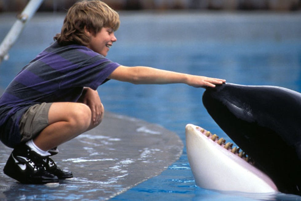 Jason James Richter, Free Willy jason james richter, free willy