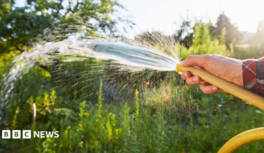 A closeup image of a man's hand holding a yellow hosepipe. The hosepipe is spraying water on to an area of wild green plants.