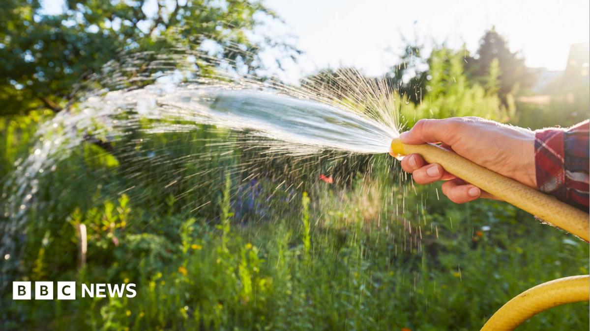 A closeup image of a man's hand holding a yellow hosepipe. The hosepipe is spraying water on to an area of wild green plants.