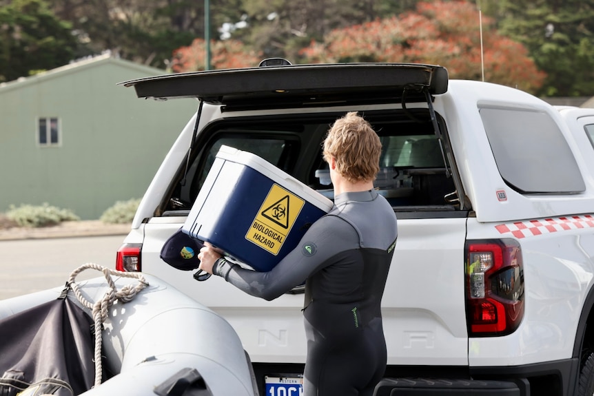 A man in wetsuit holding a box with a 'bio hazard' warning sticker on it