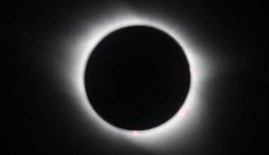 Solar eclipse: When is it happening in London and how to watch it safely