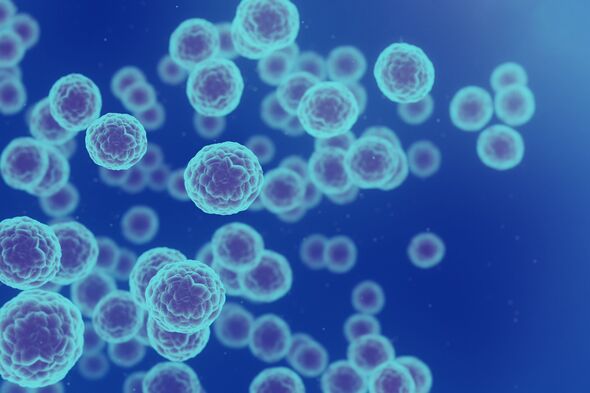Cancer cells Cancer cells