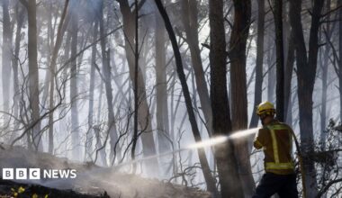 A firefighter sprays water on fire in a forest in Spain