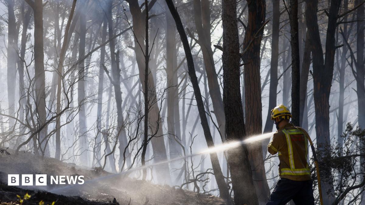 A firefighter sprays water on fire in a forest in Spain
