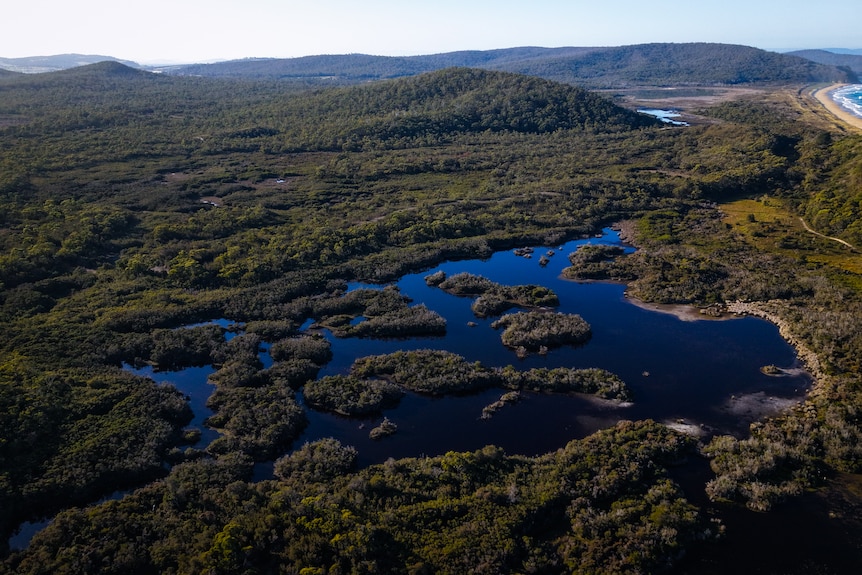 Aerial shot showing wetlands, with bushland and mountains surrounding.