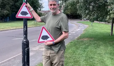 Numerous hedgehogs killed on York village roads – but council refuses warning signs | YorkMix