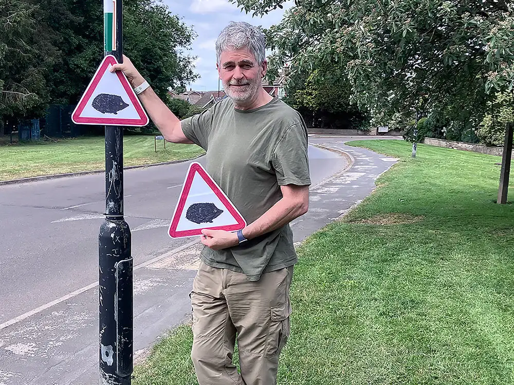 Numerous hedgehogs killed on York village roads – but council refuses warning signs | YorkMix