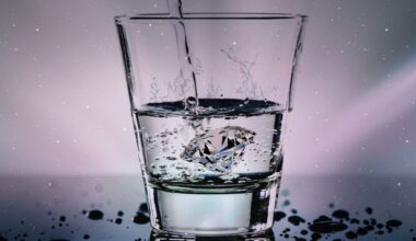 Does Academic Culture Support Addiction?