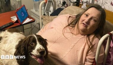 Yvonne Stride, a woman wearing a pink jumper is in bed with her dog on her lap and her i-pad with the Comfort Companions app on her bedside table.