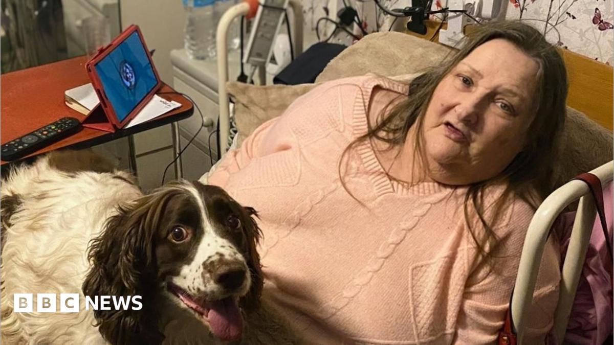 Yvonne Stride, a woman wearing a pink jumper is in bed with her dog on her lap and her i-pad with the Comfort Companions app on her bedside table.