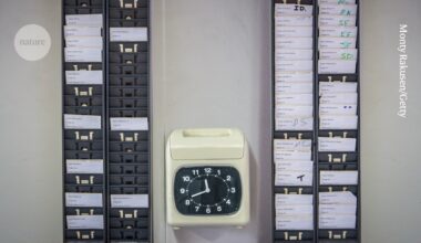 Can you actually do a nine-to-five PhD? Nature readers weigh in