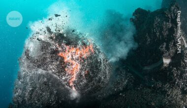 Ocean floor witnessed splitting apart for the first time — releasing lava