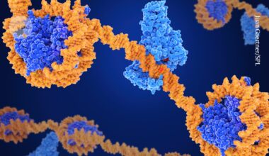 Epigenetic editing makes its mark