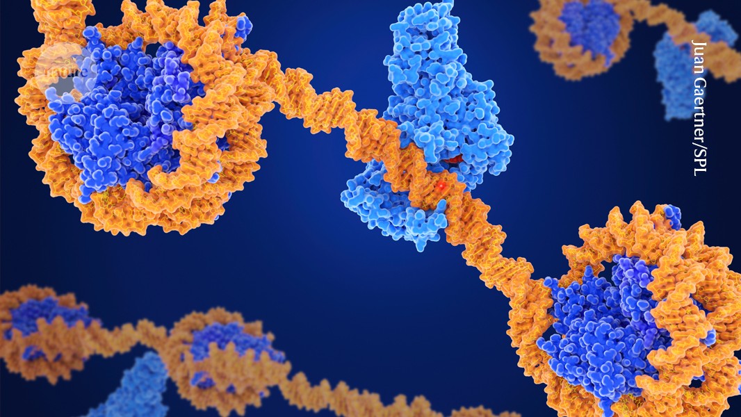 Epigenetic editing makes its mark