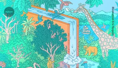 Rights for rivers and ice cream for all: top reads for the summer holidays