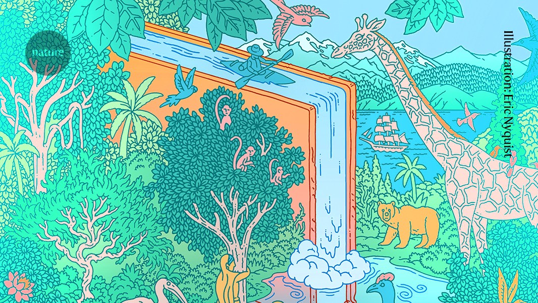 Rights for rivers and ice cream for all: top reads for the summer holidays