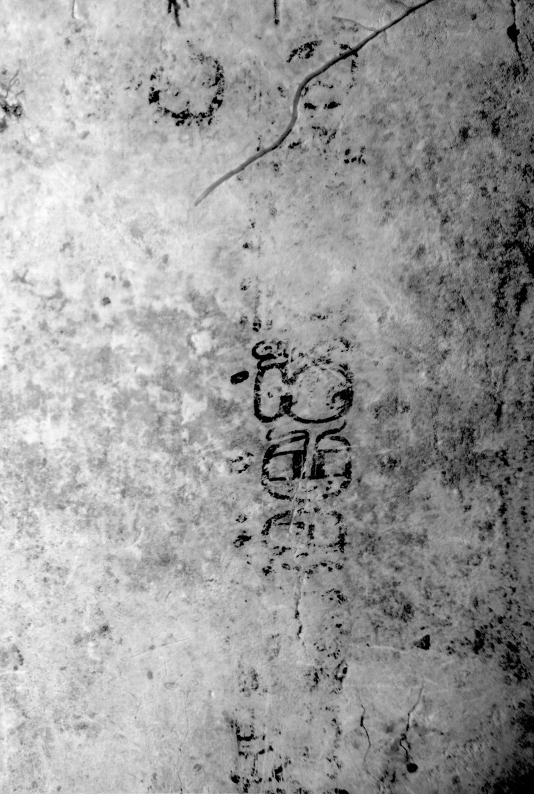 An infrared black and white image of the Text 19 from Xultun clearly showing the glyphs.