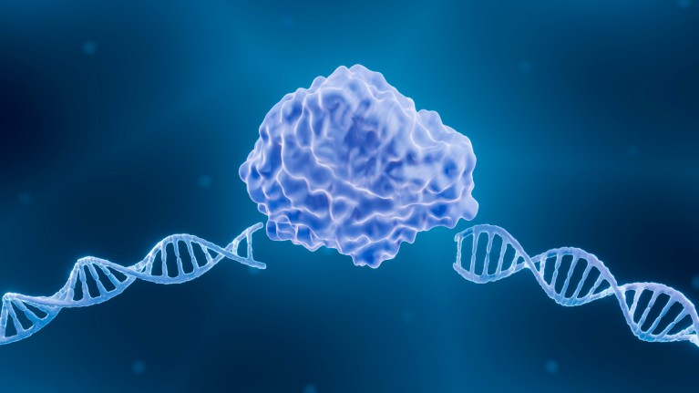 Illustration of a large, lumpy blue endonuclease enzyme positioned between two broken segments of a DNA double helix on a blue background