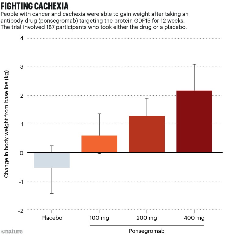 FIGHTING CACHEXIA: barchart showing that people with cancer and cachexia were able to gain weight after taking an antibody drug (ponsegromab) targeting the protein GDF15 for 12 weeks.