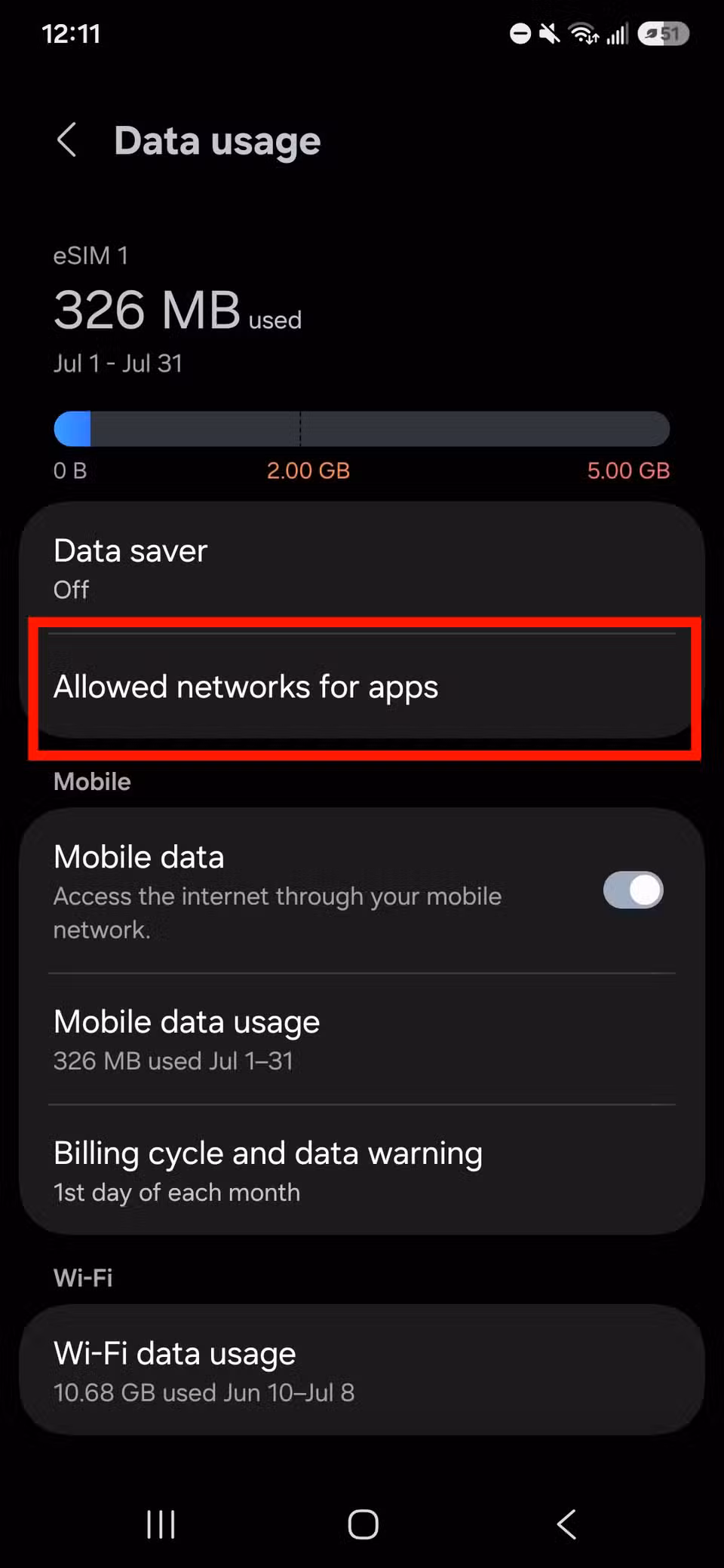 Red rectangle outline highlighting Allowed networks for apps in Data usage
