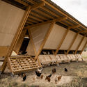 House of Chickens by SO? Architecture and Ideas. Image © Ali Taptik Beyond Human: Architecture as a Participant in Living Systems - Image 4 of 10