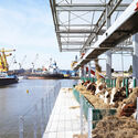 Floating Farm Dairy / Goldsmith Company. Image © Ruben Daio Kleimeer Beyond Human: Architecture as a Participant in Living Systems - Image 5 of 10