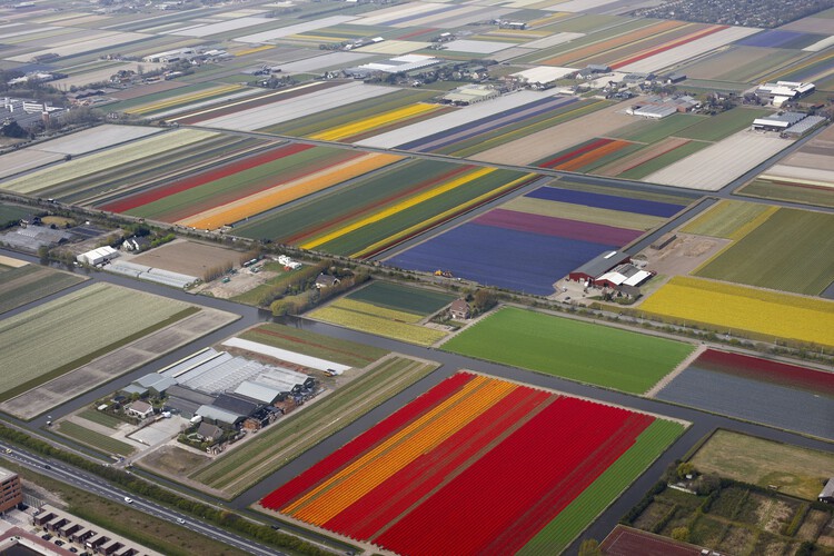 Beyond Human: Architecture as a Participant in Living Systems - Image 1 of 10