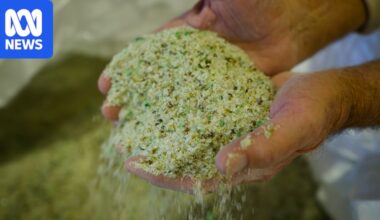 Pulverised recycled glass helps boost farm productivity with benefits to soil, plants and livestock