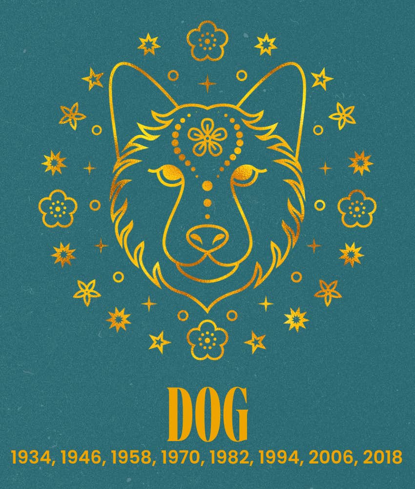 dog chinese zodiac signs life better july 16, 2026