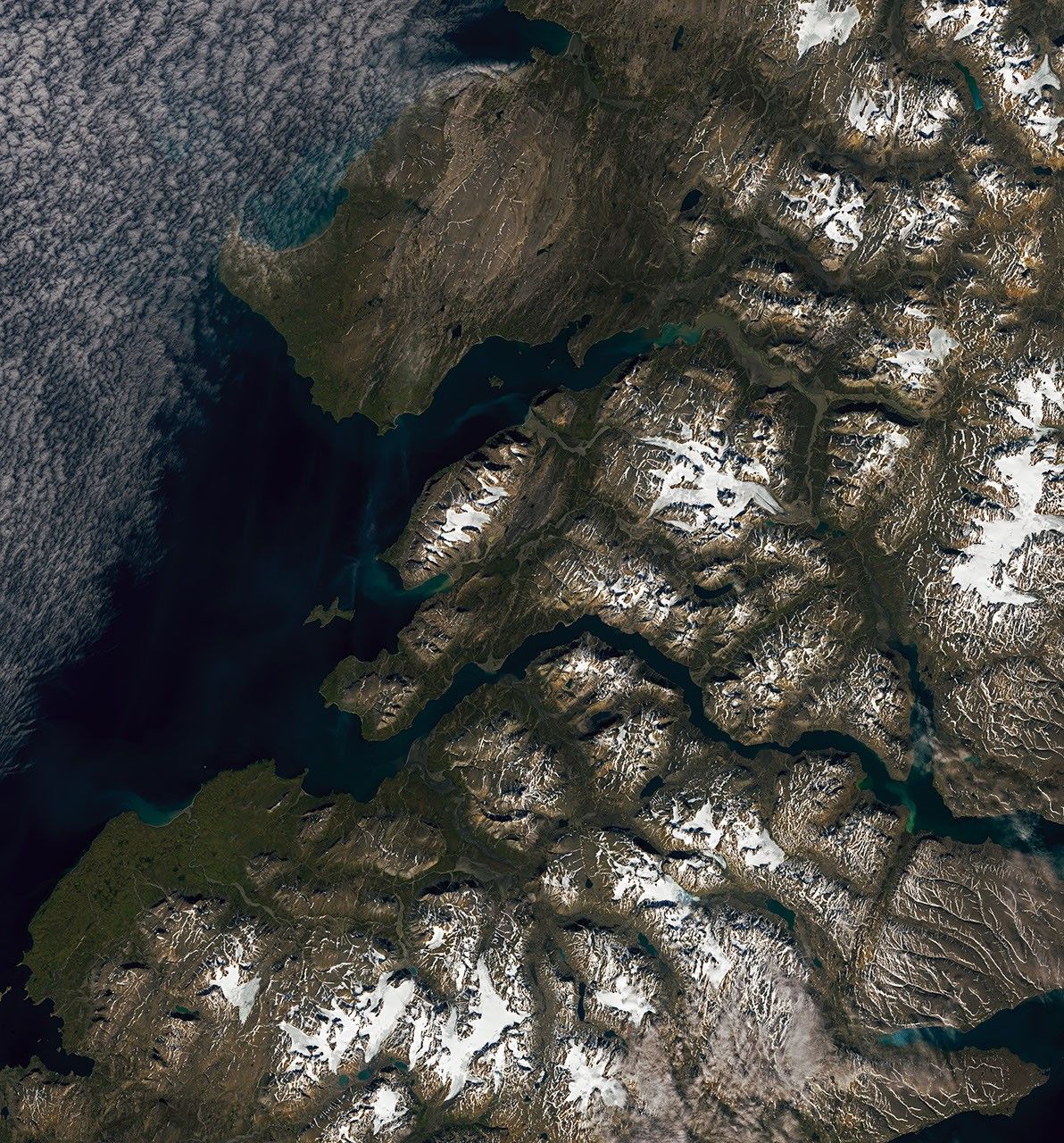 A braided river meanders across the image. Smaller streams empty into the wide channel from either side, forming fan-shaped deposits.