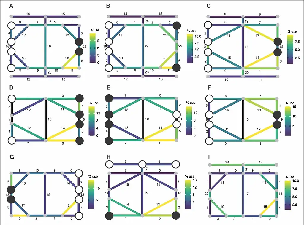 Colourful AI simulations showing nine possible schematics of game boards.