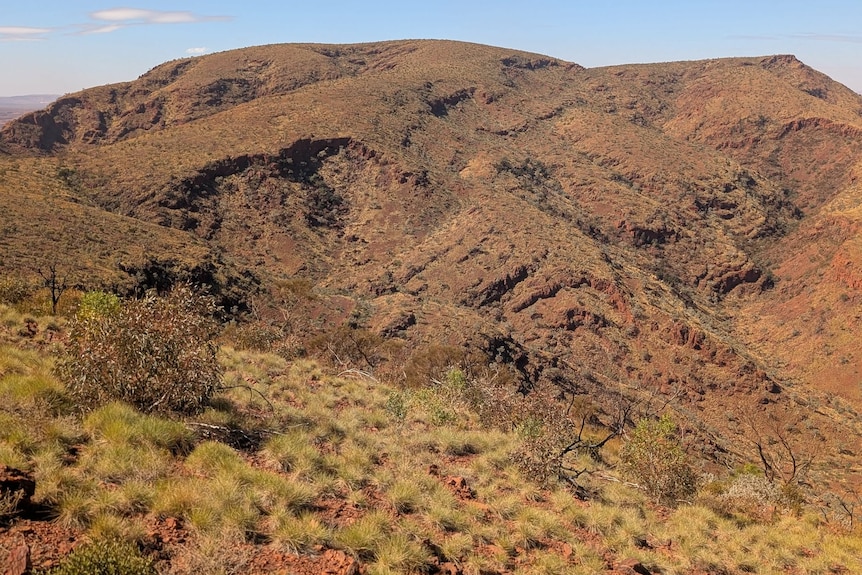 High altitude hill terrains in Pilbara is the preferred environment for the Pilbara barking geckos