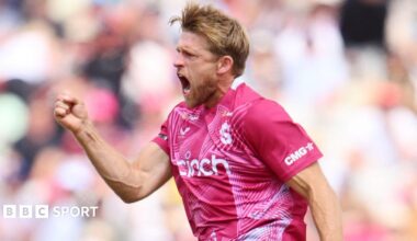 David Willey, wearing a Northamptonshire Steelbacks pink jersey, jumps in the air with his fist pumped to celebrate a wicket against Somerset in the T20 Blast semi-final