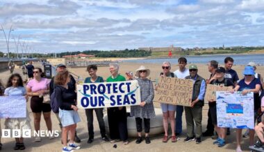 A group of more than a dozen people holding a protest. They are a mix of men and women holding between them four large home made banners with slogans including "protect our seas", "no more nurdle disasters, demand government action now!" and one with drawings of dolphins along with writing. Behind them is the mouth of the Tyne, with on the opposite river bank, a large block of flats on top of a grassed bank, and a church spire in the far distance.
