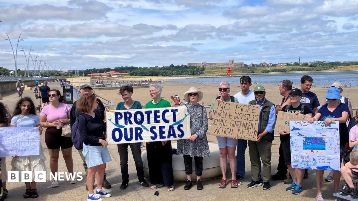 A group of more than a dozen people holding a protest. They are a mix of men and women holding between them four large home made banners with slogans including "protect our seas", "no more nurdle disasters, demand government action now!" and one with drawings of dolphins along with writing. Behind them is the mouth of the Tyne, with on the opposite river bank, a large block of flats on top of a grassed bank, and a church spire in the far distance.