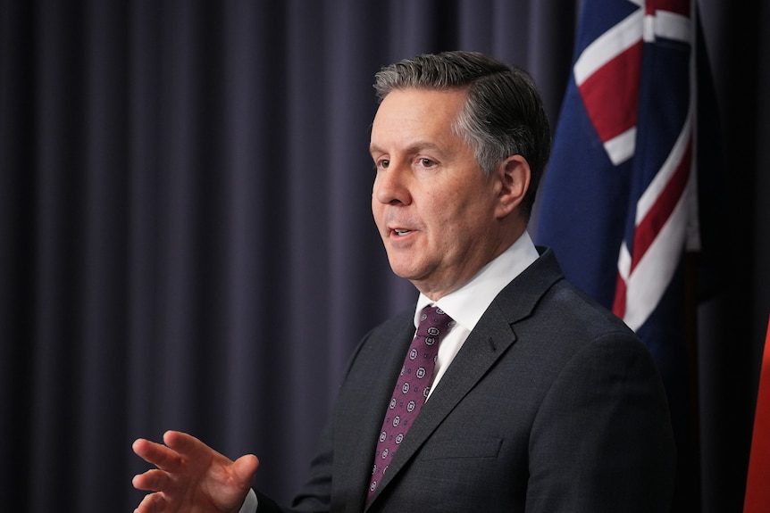 Mark Butler at a press conference
