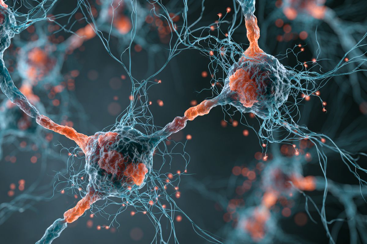 Neuroscience News logo for mobile.