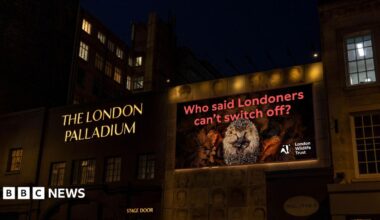 At night, an illuminated screen beside the London Palladium shows a hedgehog curled among autumn leaves, with the slogan "Who said Londoners can't switch off?" and the London Wildlife Trust logo.