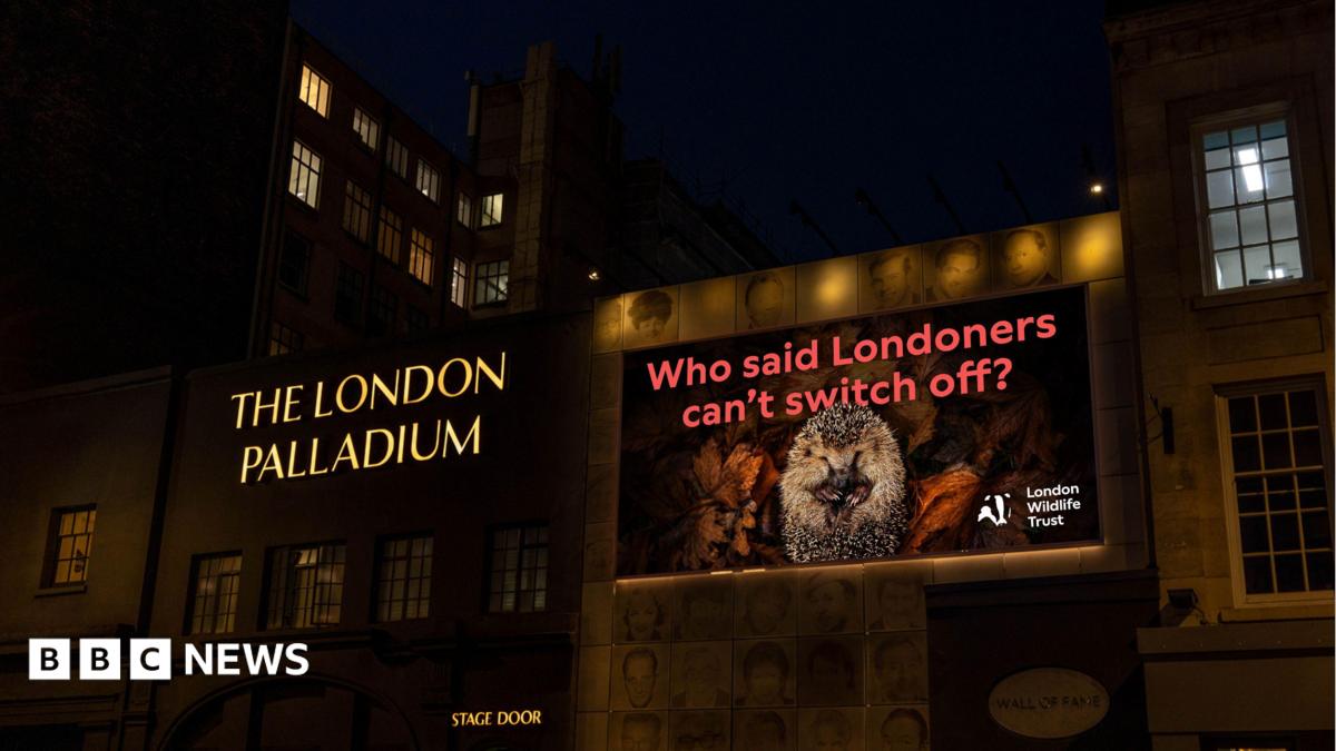 At night, an illuminated screen beside the London Palladium shows a hedgehog curled among autumn leaves, with the slogan "Who said Londoners can't switch off?" and the London Wildlife Trust logo.