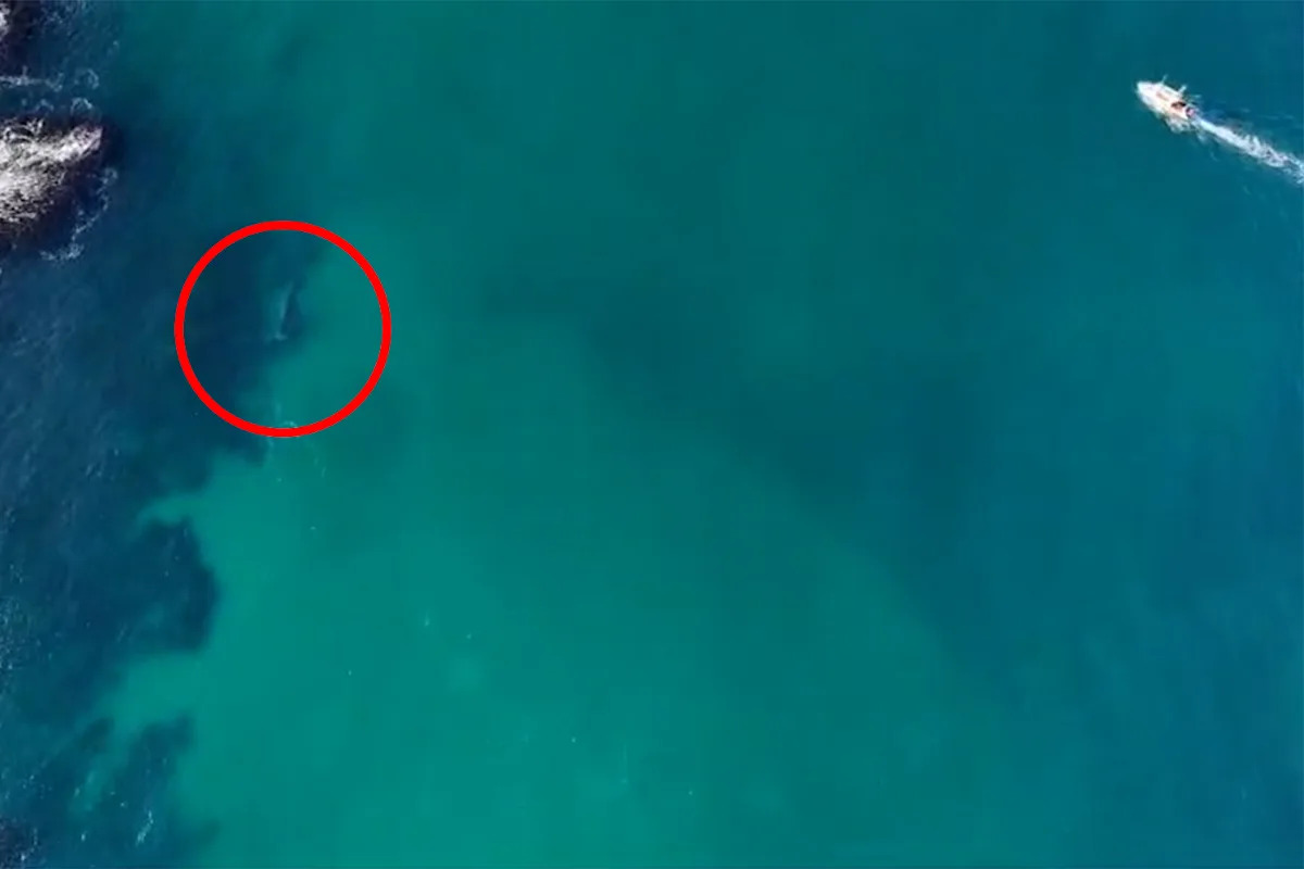 Hunt for owner of rope linked to sad incident 200m off Aussie coast