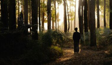 Why Meaningful Coincidences Cluster During Life Changes