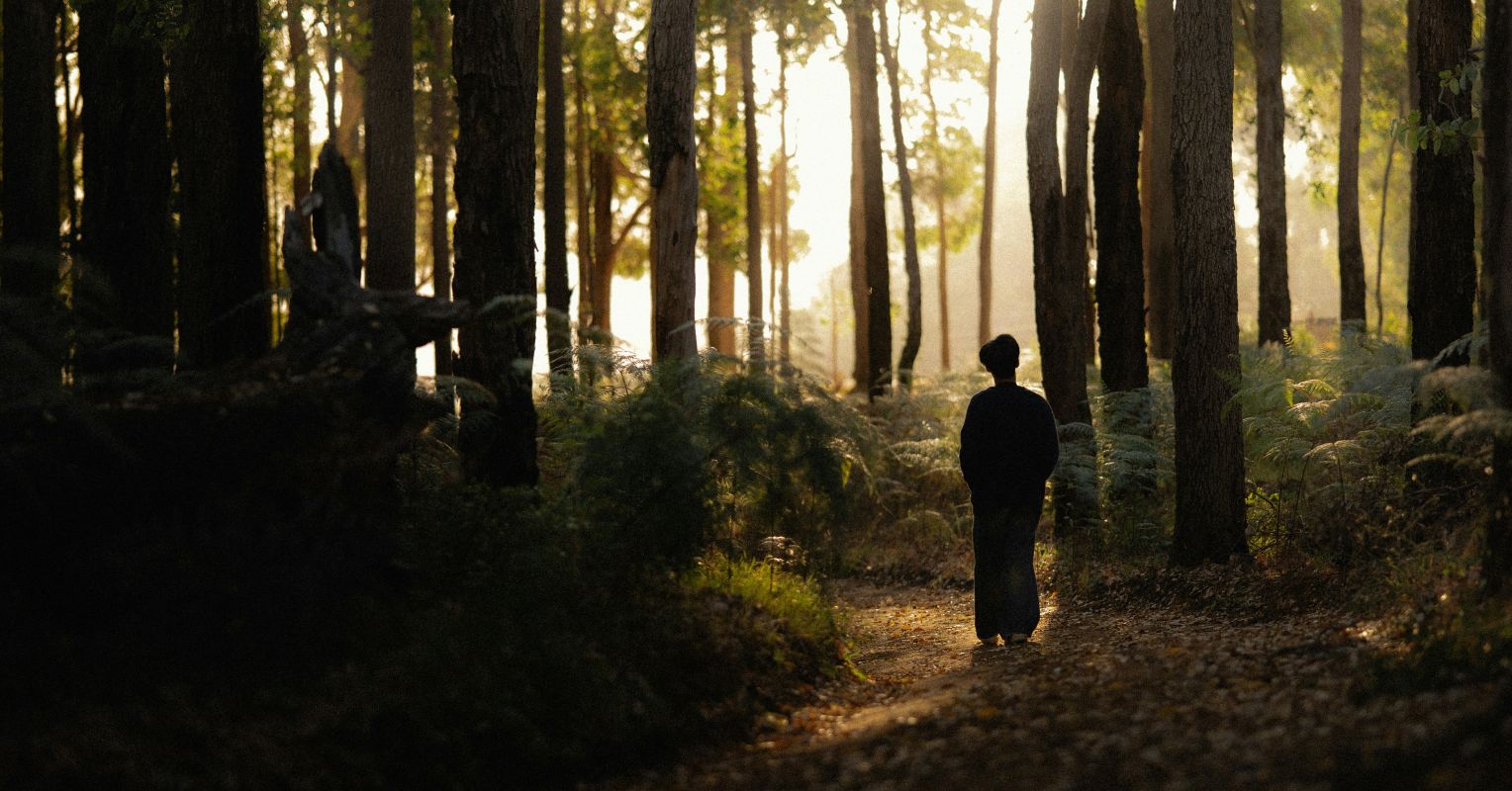 Why Meaningful Coincidences Cluster During Life Changes