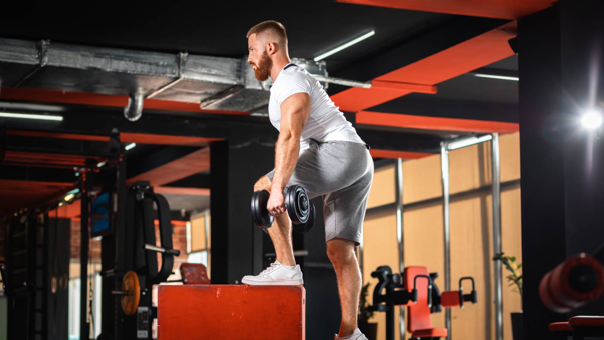 Muscular Man doing weighted step ups in gym
