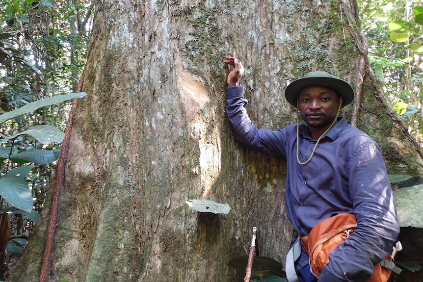 A man leans against a tree.