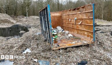 The back of a lorry lies abandoned on piles of waste and water in a woodland clearing.