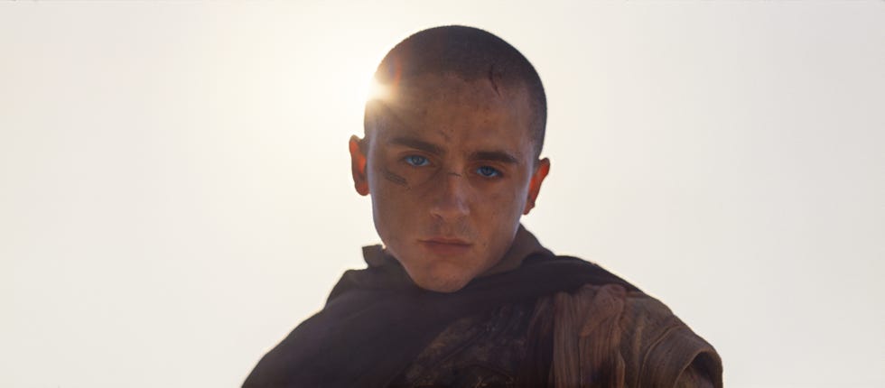 timothee chalamet, dune part 3